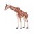 Mojo: Weibliche Giraffe - handbemalte Figur 146951246