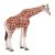 Mojo: Weibliche Giraffe - handbemalte Figur 146951246