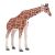 Mojo: Weibliche Giraffe - handbemalte Figur 146951246