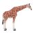 Mojo: Weibliche Giraffe - handbemalte Figur 146951246