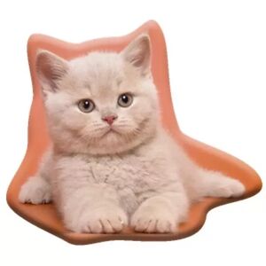 Pusheen: Pernă de decor cu model pisică, atingere catifelată - 40 x 40 146951321 - Perne decorative