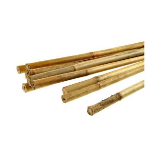 BAMBUSZ RÚD 6/8MM*900MM - BIG-TB90 146962995 - Növénytámasz & Karó