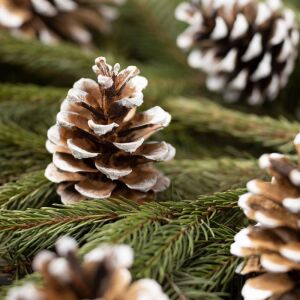 Karácsonyi dekoráció - toboz - 5 x 4,5 cm - 10 db / csomag 147037882 - Ajándék kütyü