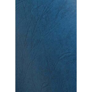 DELTA BŐRÍRÓLAP A4 KÉK (100) 2247 147066349 - Spirál hátlap