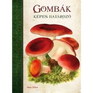 Gombák 147139359 - Természettudomány