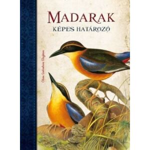 Madarak 147140020 - Természettudomány