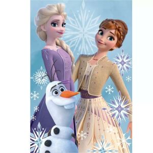 DISNEY Disney Ledeno kraljevstvo polar deka 100x150 cm 147153106 - Tekstil za dom