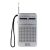 SAL RPC 4 Taschenradio, 2-Band AM-FM-Radio, hochempfindlicher Empfang, AUX 100522751