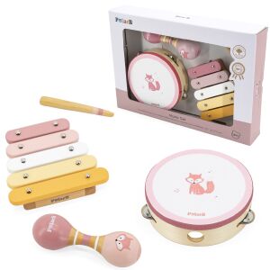 VIGA PolarB Musikinstrumenten-Set Rosa 147212411 - Musikinstrumente zum Spielen