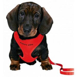 Trixie Puppy Soft - Hám kölyökkutyák részére - piros - (26-34cm/10mm) póráz - 2m 147228813 - Kisállat hám