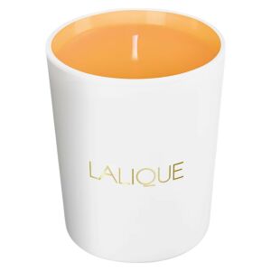 Lalique, Les Compositions Parfumees - Sweet Amber, Sweet Amber, Scented Candle, 190 g 147244742 - Légfrissítő
