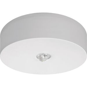 AWEX AXN IP65 LED Ház 6W 590lm nyitott optika 3h egyszerű feladat AT fehér (AXNO/6W/BSE/AT/WH) 147251309 - Mennyezeti lámpa