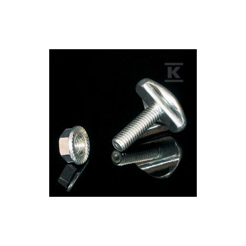 Rögzítőcsavar 100db INOXDZSU/B_BX 147254600