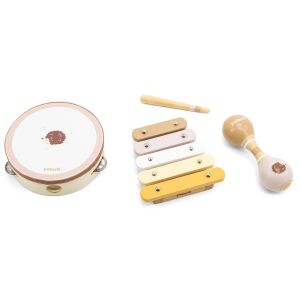 VIGA PolarB Musikset, Igel, Tamburin, Maracas, Xylophon 147256065 - Musikinstrumente zum Spielen