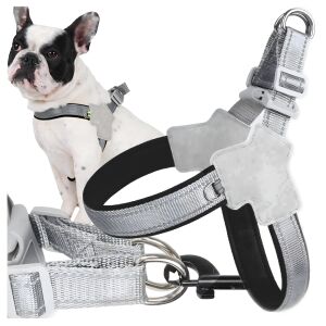 Fényvisszaverő mellényhám kis kutya vagy macska számára M méret 147267589 - Kisállat hám