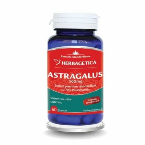 Astragalus x 60 kapszula 147281297