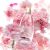 Avon Celebre Eau de Toilette rózsaszín virágokkal körülvéve