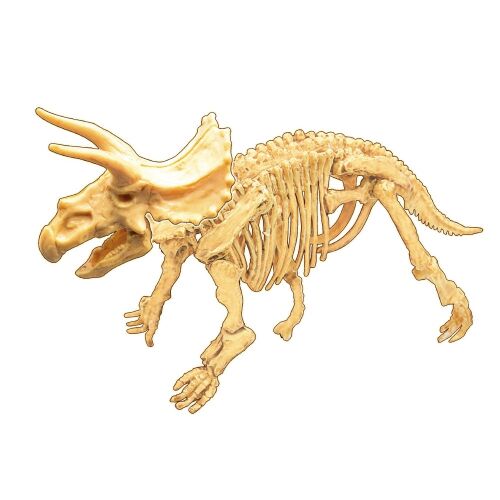 Összeszerelt Buki Dino Dig Triceratops csontváz modell - Tudományos és felfedező játék