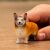 Schleich Welsh Corgi figura közelről