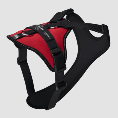 JK9 Longwalk Light kutyahám okoseszköz-tartó hámfelírattal, piros, XL 154379897 - Julius-K9