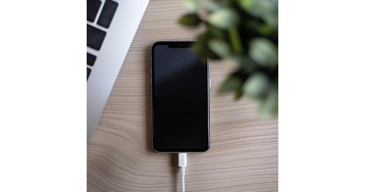 Cablu de date - Type C - 3A - 60W | Pepita.com