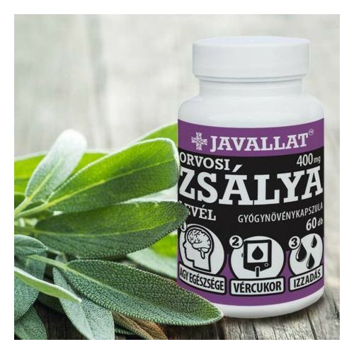 Javallat Orvosi Zsálya kapszula memória, vércukor és izzadás támogatására - Javallat