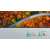 Hisense 50A7GQ 127cm (50") 4K UHD Smart QLED TV Wi-Fi #schwarz-grau 44360177}