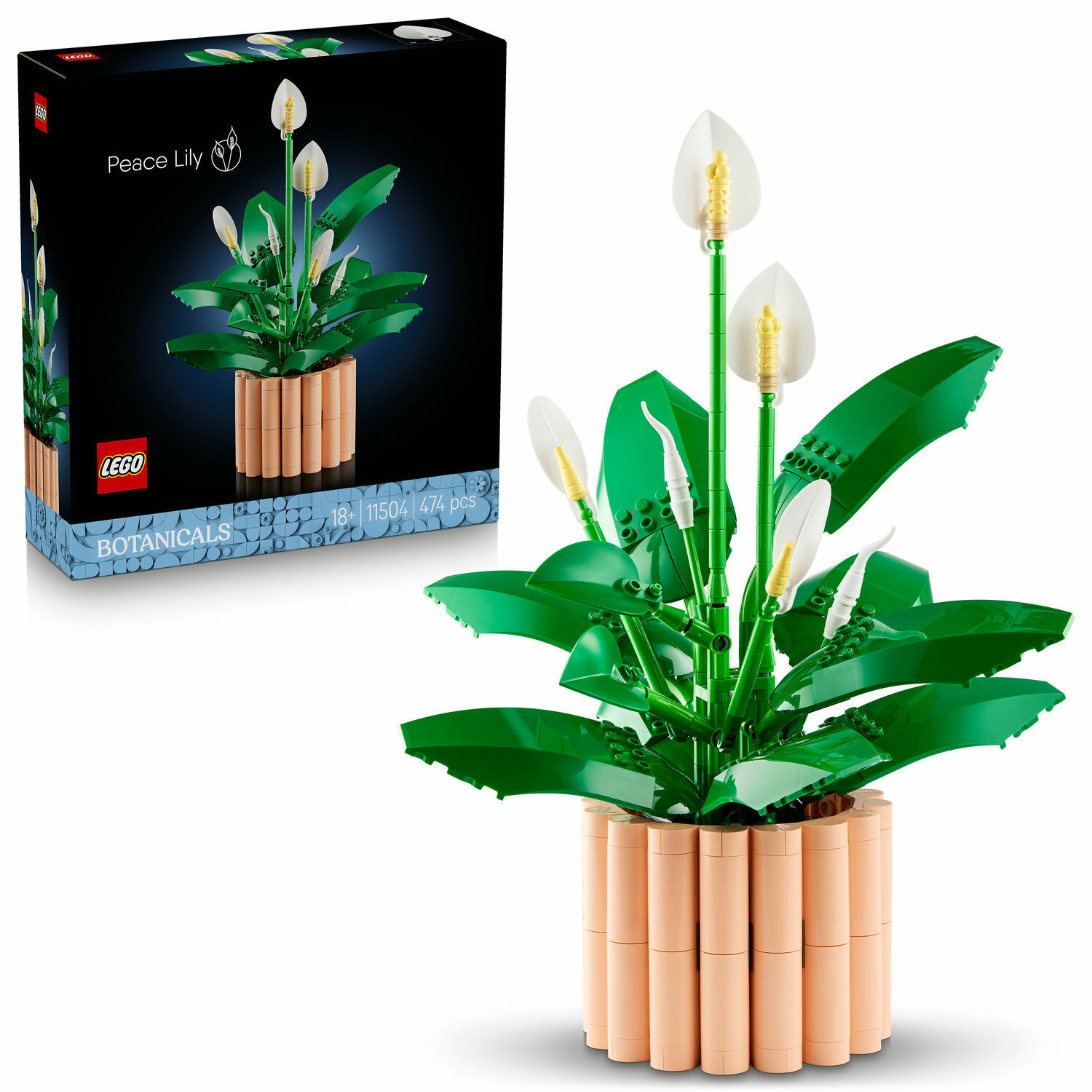 E-shop LEGO® Botanicals Lopatkovec 11504
