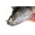 Fox rage ultra-realistic perch replicant fox rage ultra-realistic perch replicant 14cm - 52g/#2 148734785
