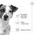 Royal Canin SHN Mini Adult 4 kg 166935680