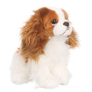 Tuluz - király spániel - 24cm