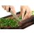 Újhagyma aprítása az Edzett üveg vágódeszka 30x22 fa edzett üveg vágódeszkán