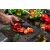 Paprika szeletelése kávébab mintás üveg vágódeszkán
