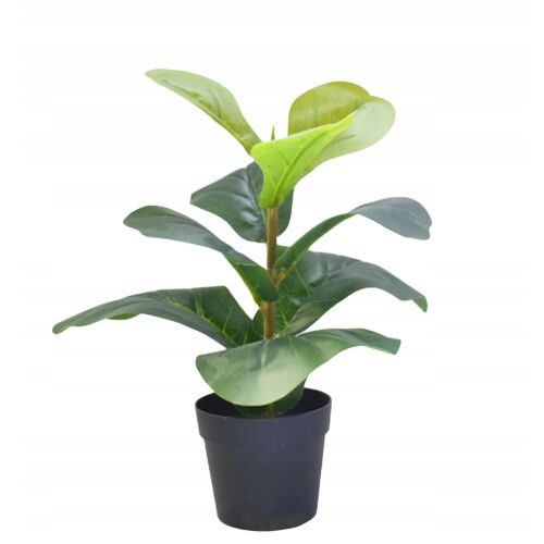 MŰVES VIRÁGNÖVÉNY 35cm Ficus cserépben fehér háttérrel - Műnövény és művirág