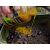 Carp Food Karpiowy Attract Activator 500ml Ananasowy Sok 150202605