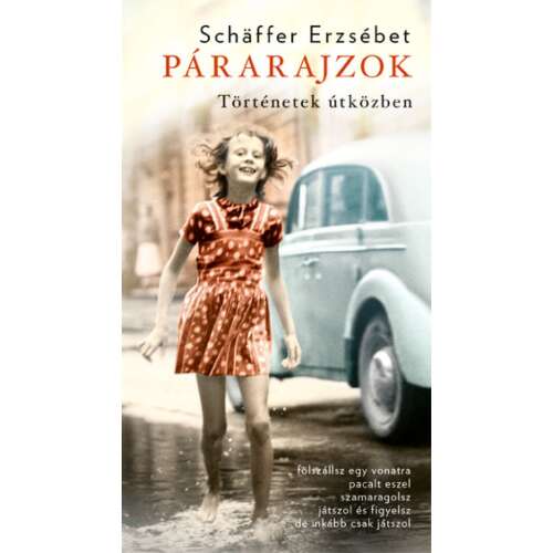 Párarajzok könyv Erzsébet Schäffer-től, magyar regény a történetek ütközéséről - Irodalom és költészet könyv