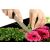 Üveg főzőlapvédő Gerbera vágódeszkaként