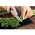 Üveg védőlemez konyhába 2x35x52 fűszer vágódeszkaként
