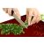 KONYHAI ÜVEG PANEL 60x65 Piros vágódeszkaként, piros üveg vágófelület