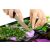 KONYHAI ÜVEG Orchidea konyhai üvegpanel vágódeszkaként használva