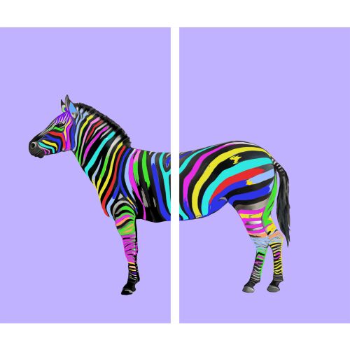 TMK ArtDeko Zebra üveg vágódeszka, 2 darabos szett - Tűzhelyvédő