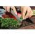 Zöldhagyma aprítása a TMK ArtDeko üveg vágódeszkán paprika mintával
