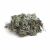 BioGrey zuzmó 25g 151540371