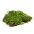 Szárított moha terráriumokhoz, 500g lapok, FLAT MOSS BIOTERR 151556687