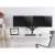 Equip 650133 dual monitor desk mount, black, with two monitors mounted