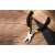 Deli EDL20025 diagonal cutting pliers