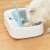 White cat eating from Petoneer Two-Meal Feeder automatic pet food dispenser
