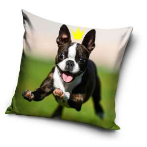 Dog cushion cover with a Boston Terrier running with a crown, 40x40 cm - Cushion cover
