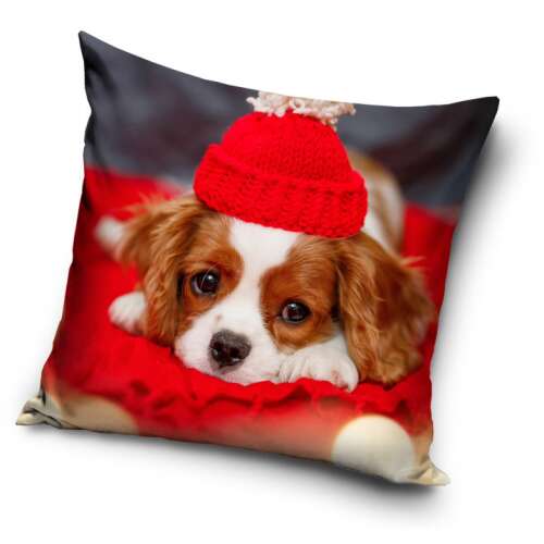 Dog pillowcase, 40x40 cm, cute puppy in a red hat