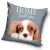 Dog Pillowcase 40*40 cm 50287643